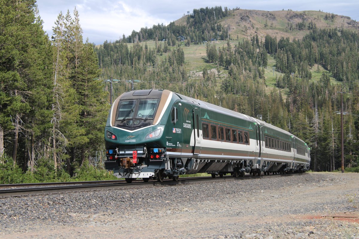 Chris 🦝 tweet media