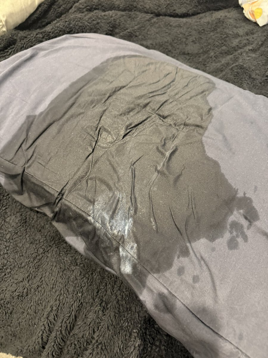 Terra Bliss tweet media