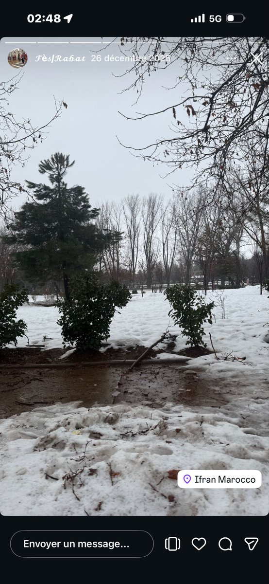 Beejee 🇲🇦⭐️⭐️ tweet media