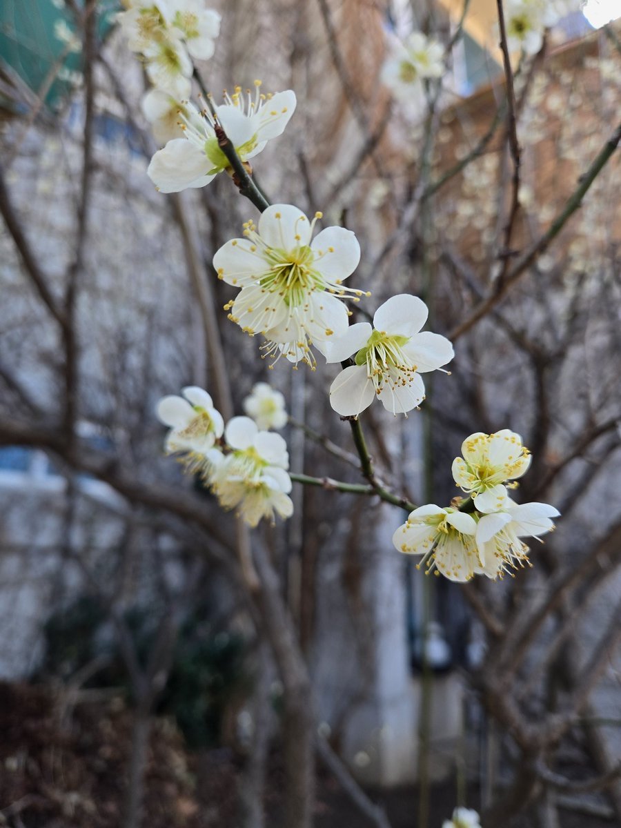 짜까녀 tweet media