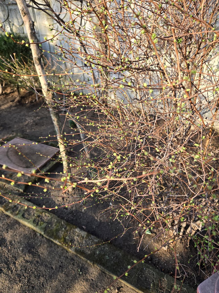 짜까녀 tweet media