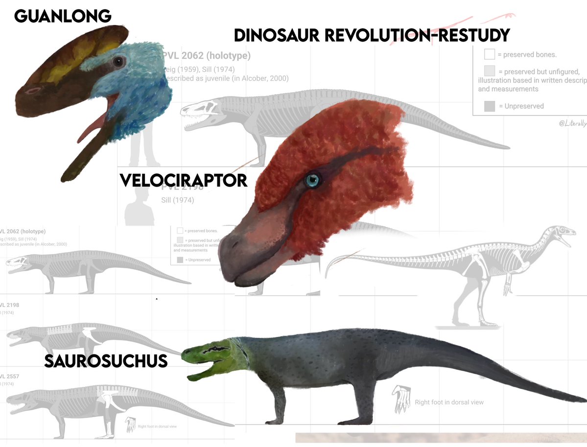 Amari Xxp tweet media