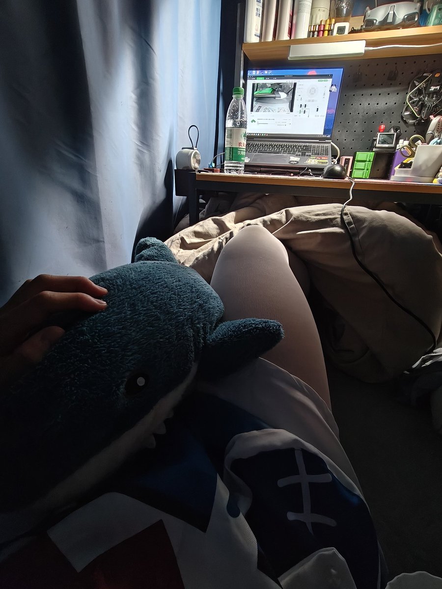 风鹤chrizu tweet media