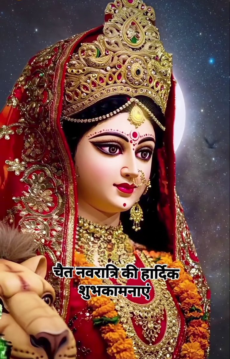 Nikky Choudhary tweet media