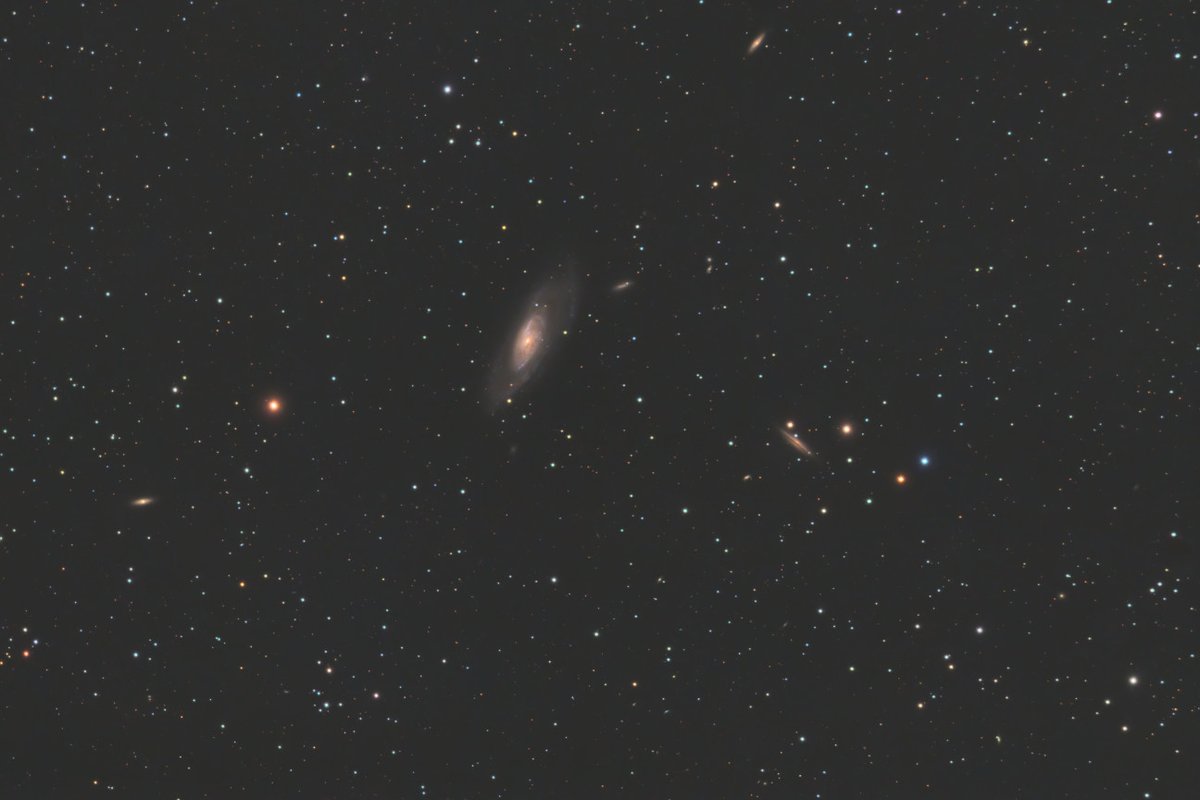 EricTheCat 🇺🇸 tweet media