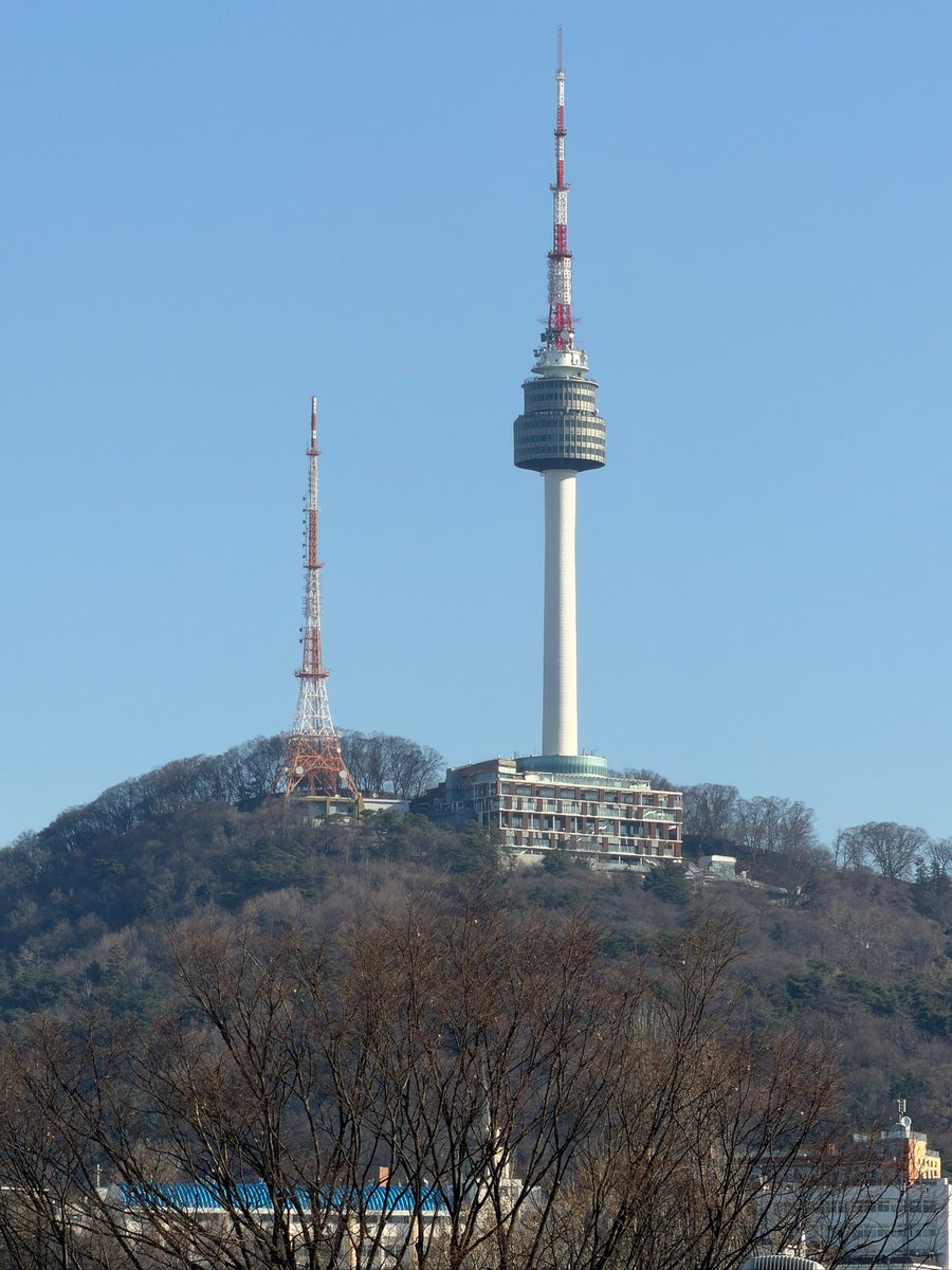 무당👑Tim tweet media