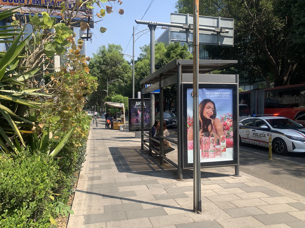 Letiche 🇲🇽 tweet media