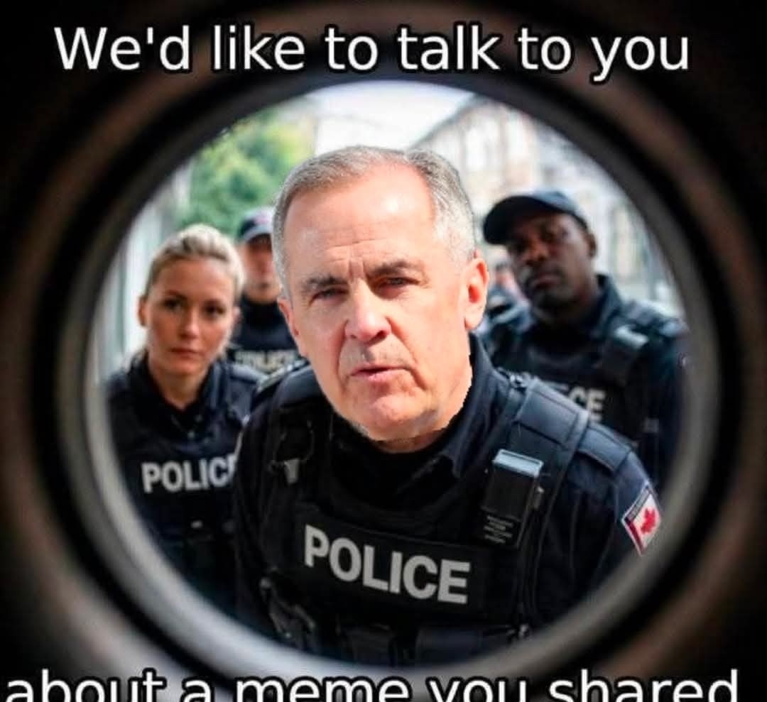 Chaos 🇺🇸🇨🇦 tweet media