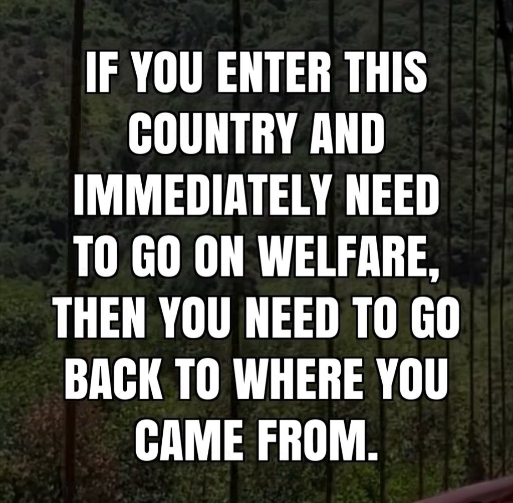 Rothmus 🏴 tweet media