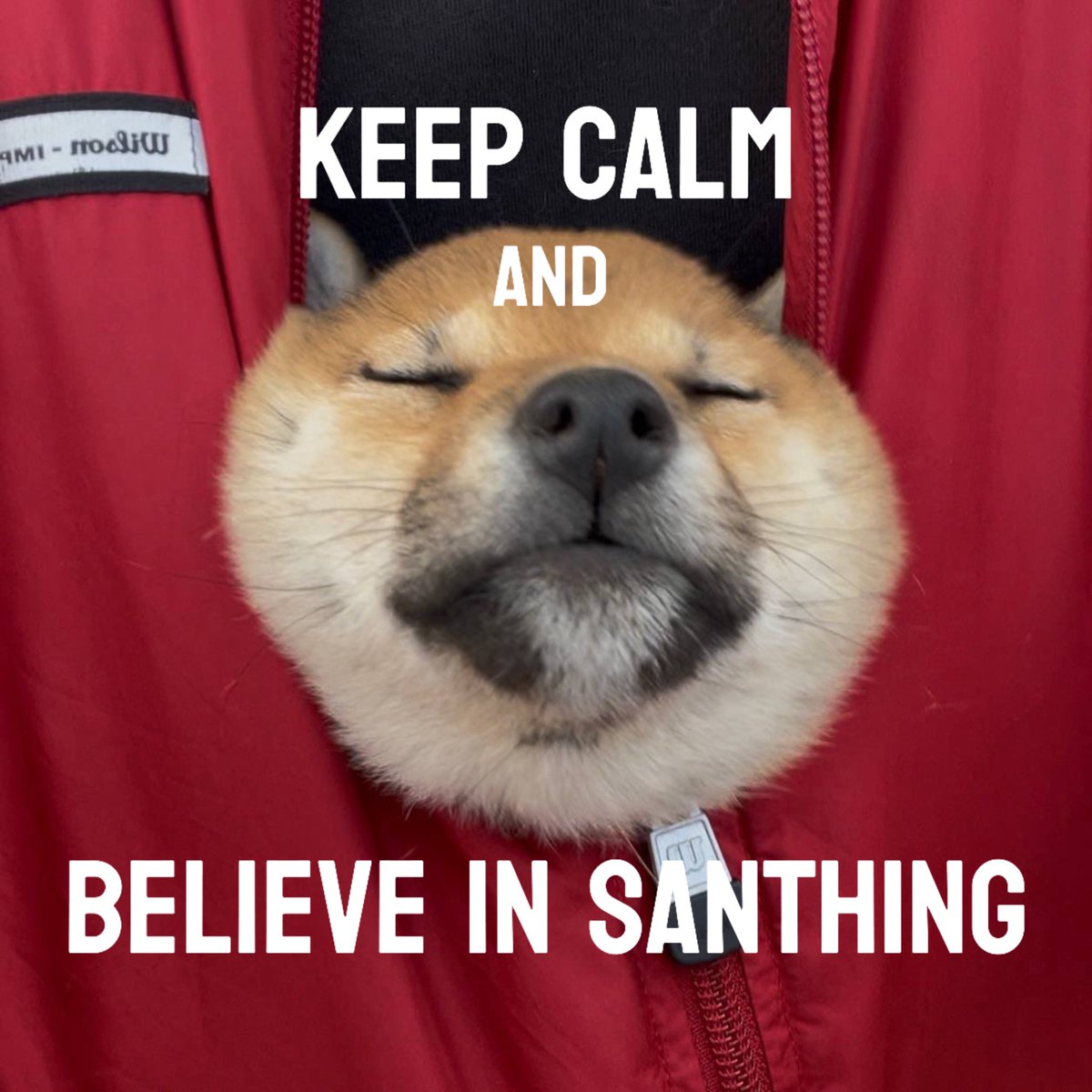 Saint San (🇯🇵,🐾) tweet media