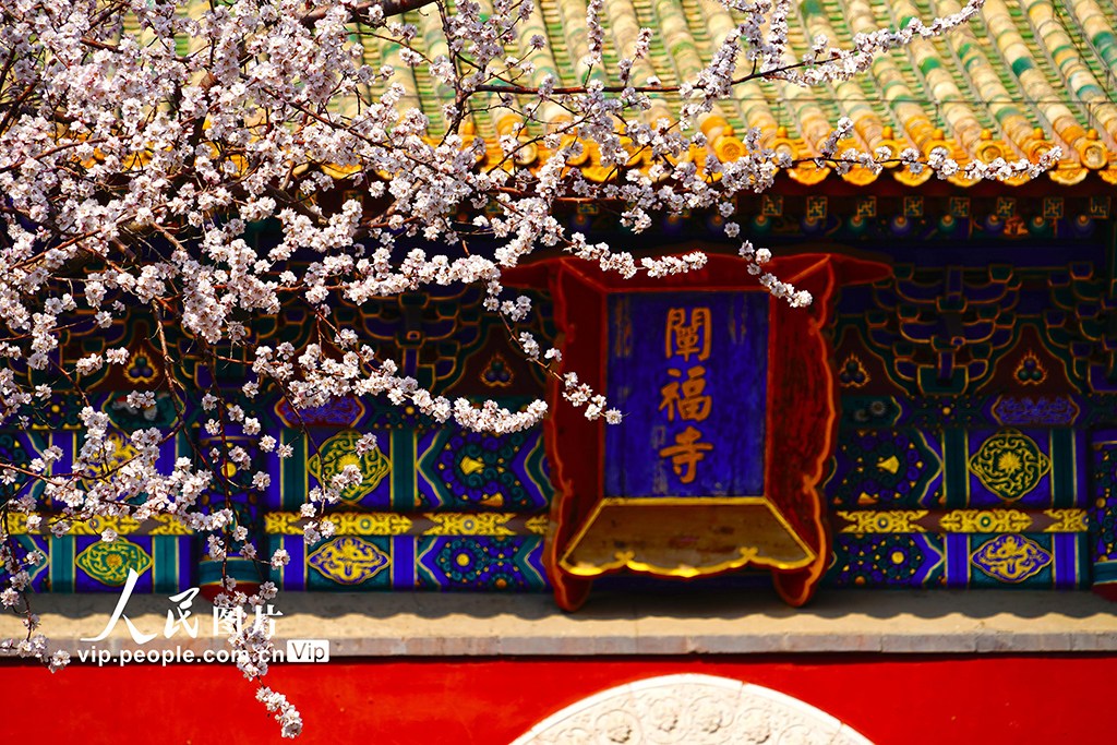 Beautiful China tweet media