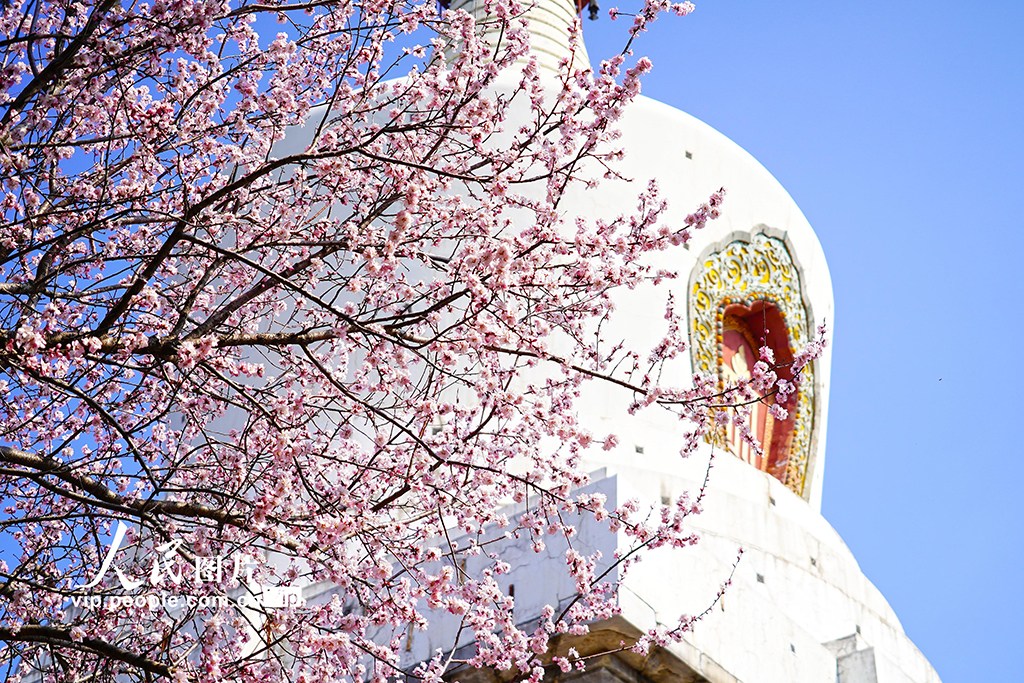 Beautiful China tweet media