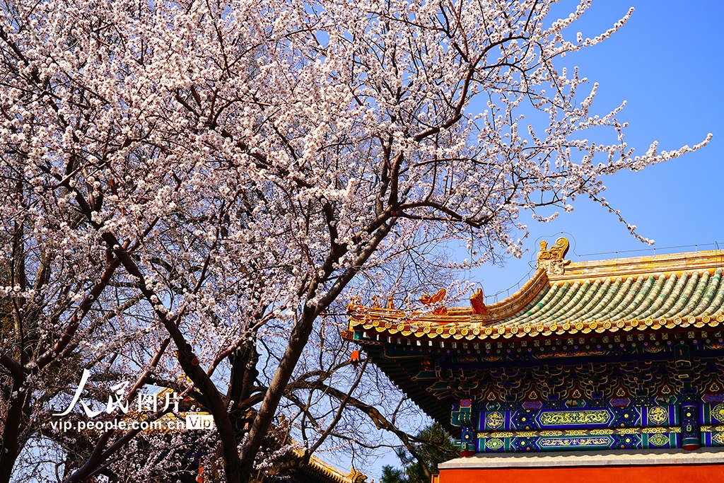 Beautiful China tweet media