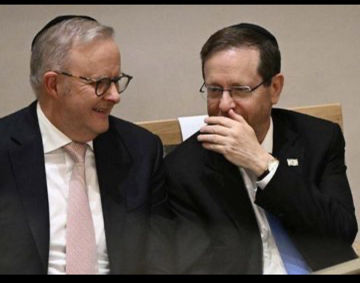 Dr Sheep Person Podge tweet media