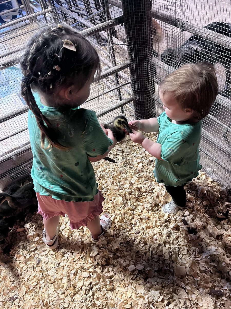 Grace Reinecker tweet media