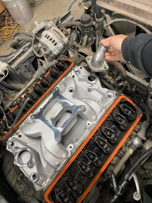 Connie 🇺🇸 tweet media