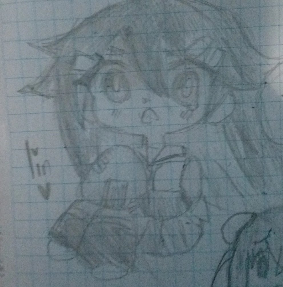 Dashed Zà Rokku!! tweet media