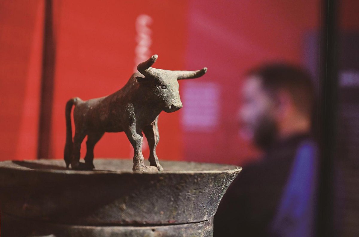 NiceYa🇨🇳 tweet media