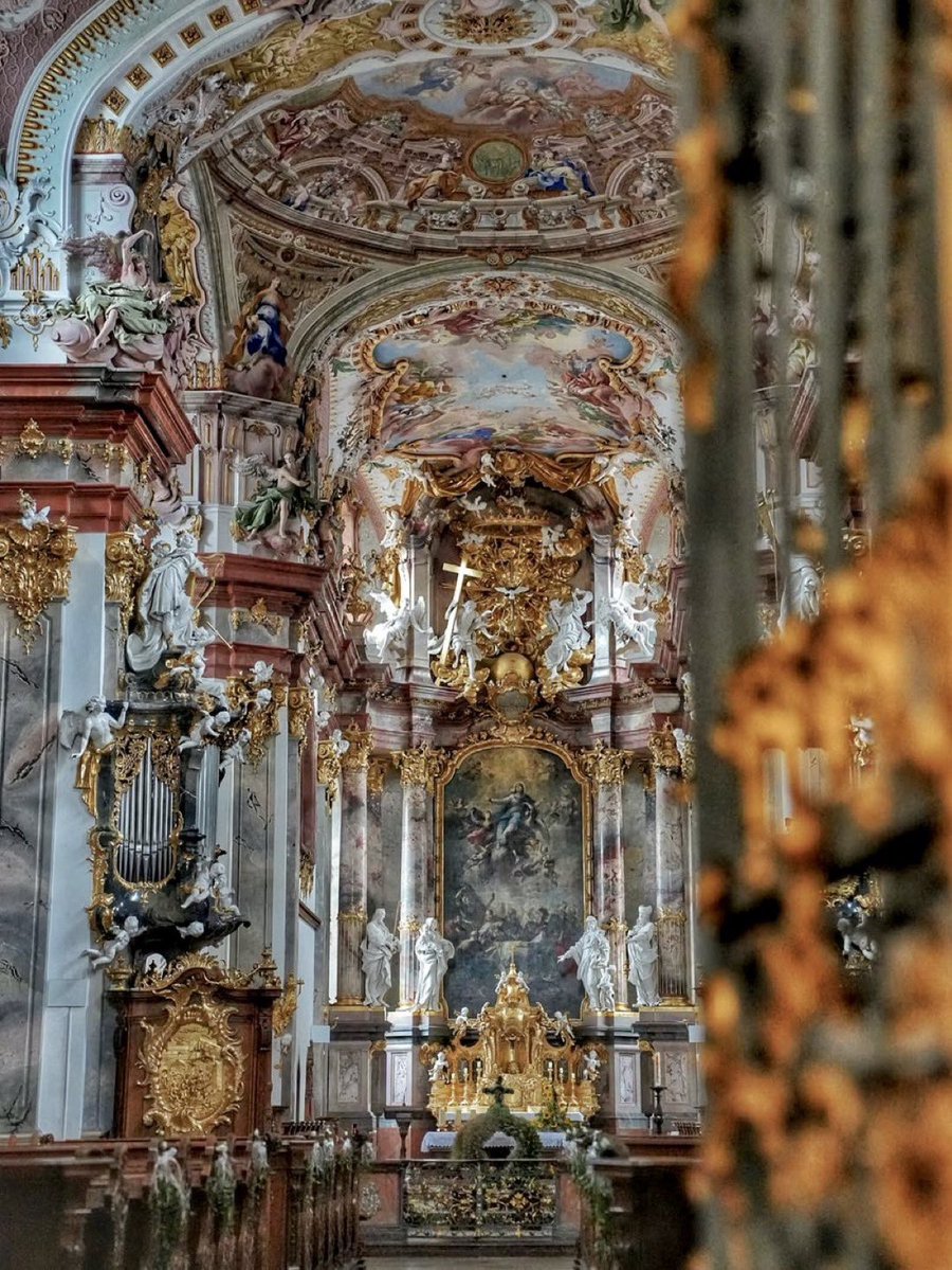 Catholic HODL ✝️🇺🇸🇻🇦⚡️ tweet media