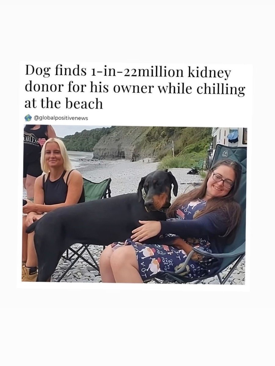 National CPR Foundation tweet media