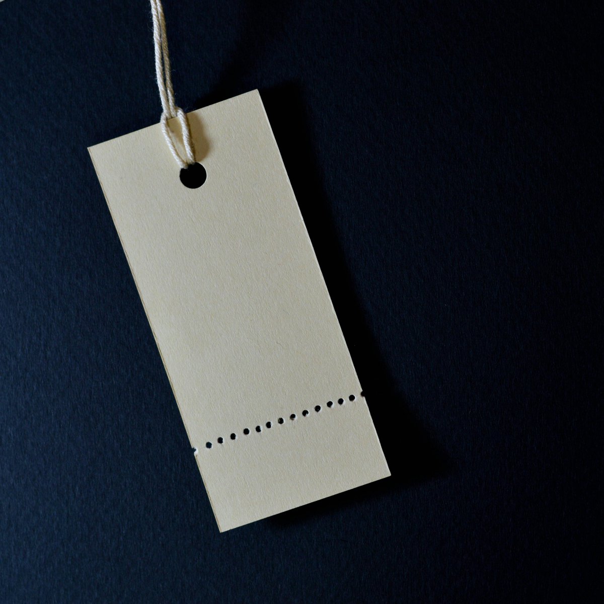 World of StatHistics tweet media