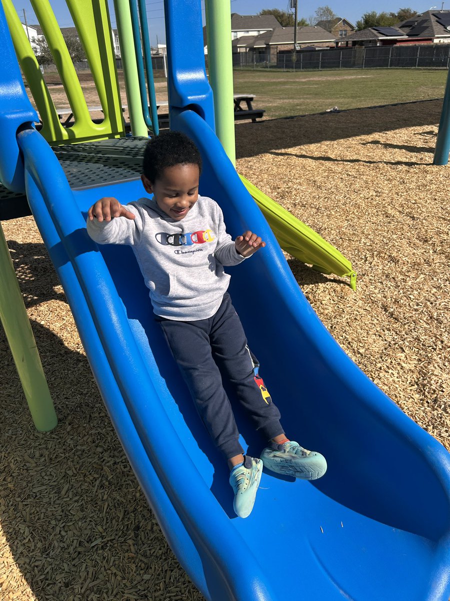 Allison Duffy tweet media