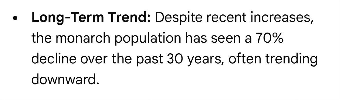 Ray Wolf 🇨🇭🇨🇦 🇩🇰 🇬🇱 tweet media