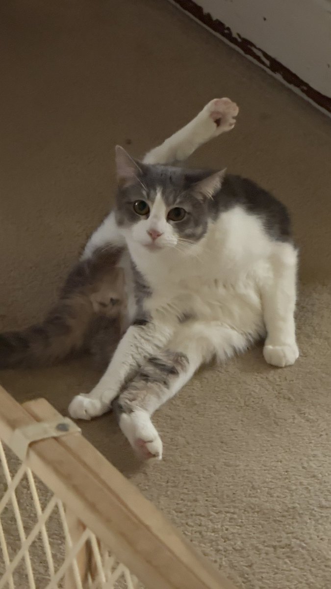 Chance :) tweet media