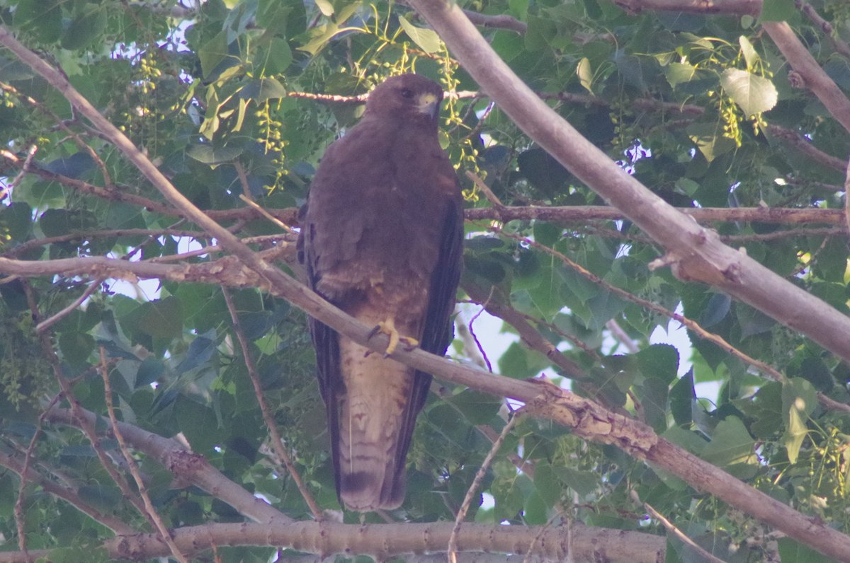 Kevin Rushton tweet media