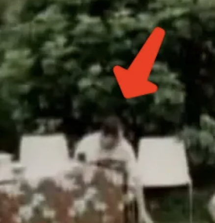 NovusOrdoWatch's tweet photo. For all those claiming that in the photos of the Pachamama ritual, Robert Prevost (now 'Pope Leo XIV') looks like he is simply "reading a book", no, he is not. What looks like he is holding a book or a pamphlet is indeed a book but he is not holding it. The book is sitting on the table in front of him, and because of the camera angle it looks in one image as if he is holding it. In another image, where he is getting on his knees with everyone else, one can see that the book is still in the exact same position - resting on the edge of the table! More photos and background story here: https://t.co/Bu1vNKxNr3