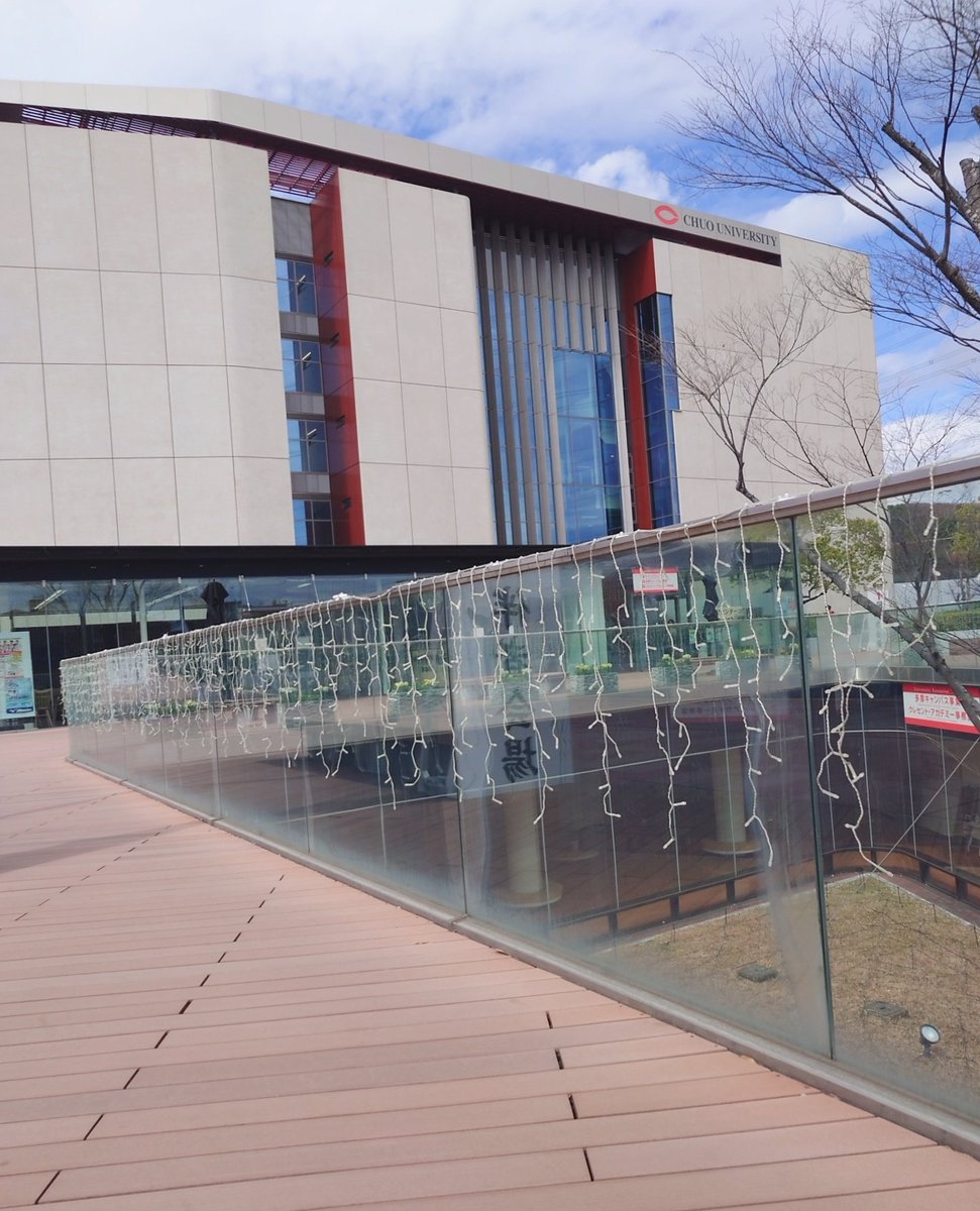 TNY(谷口) tweet media