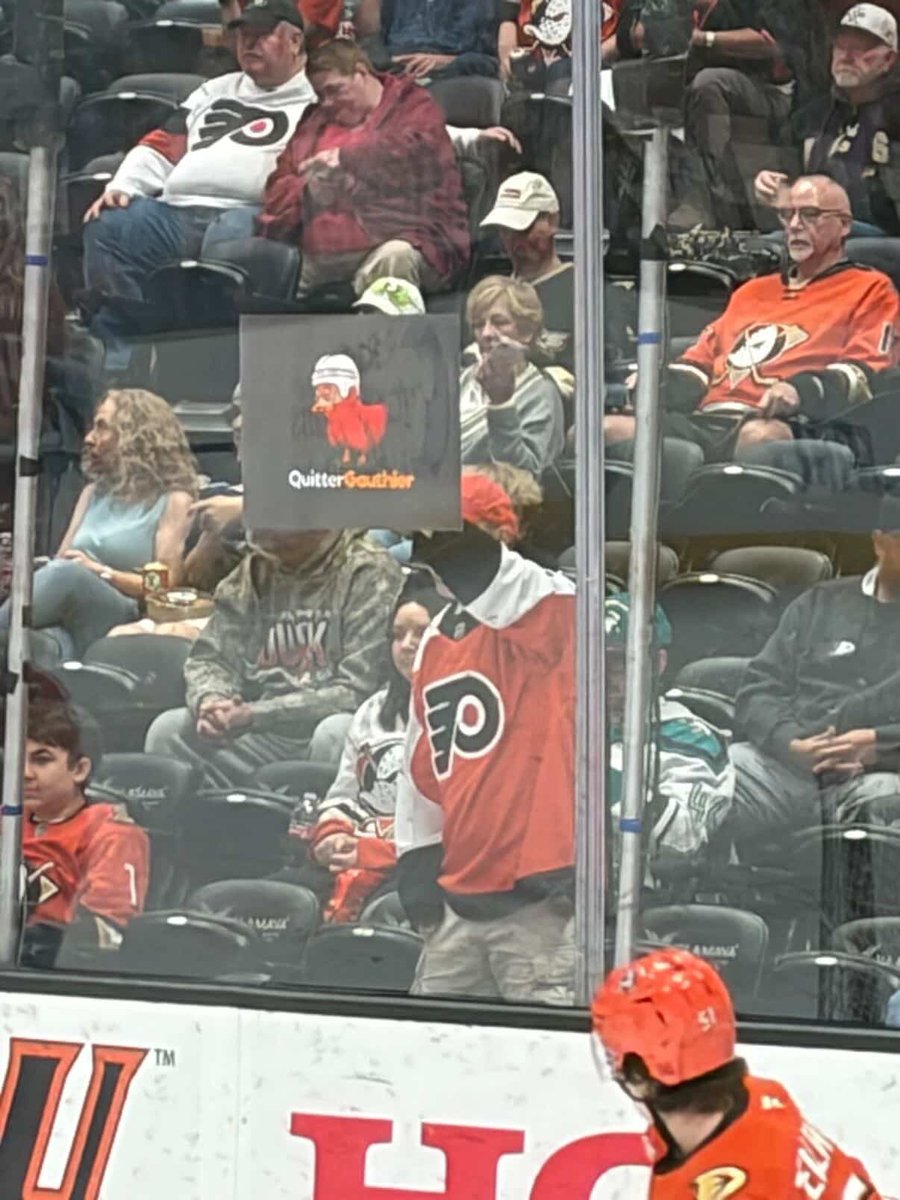 anaheim ducks memes tweet media