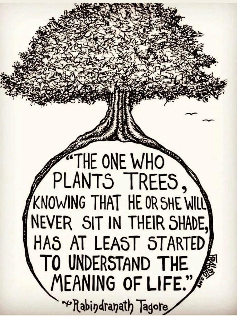 Classful tweet media