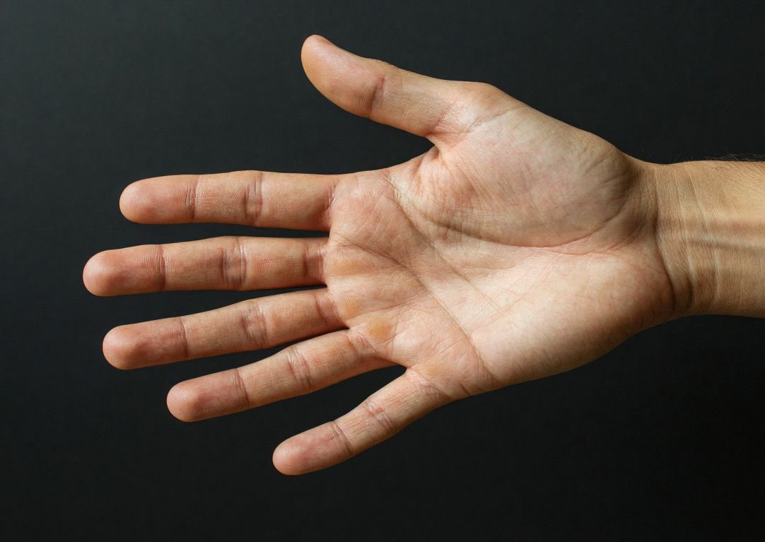 Fabri Fener tweet media