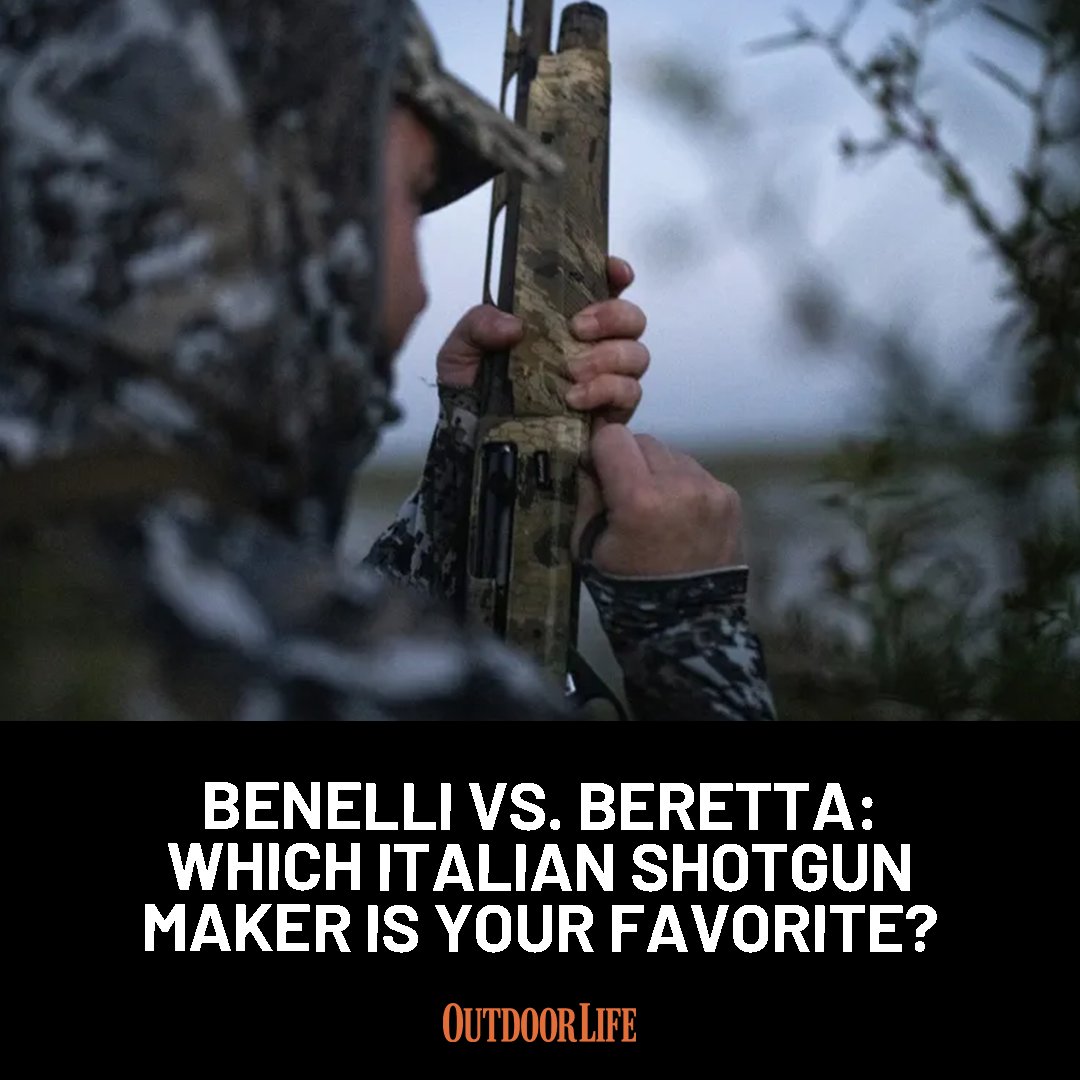 Outdoor Life tweet media