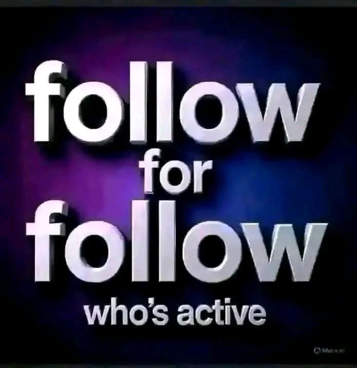 Mr.DailyVoice tweet media