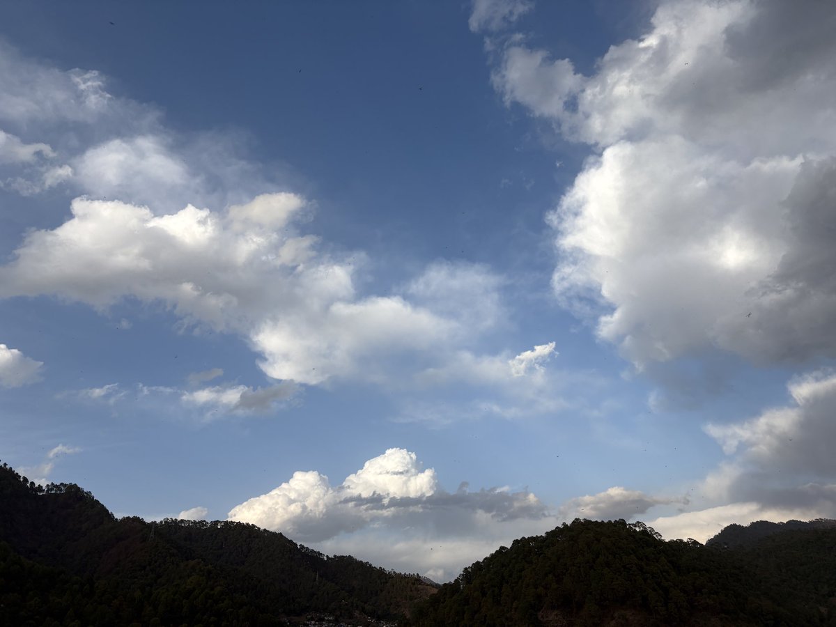 jyoti parihar tweet media