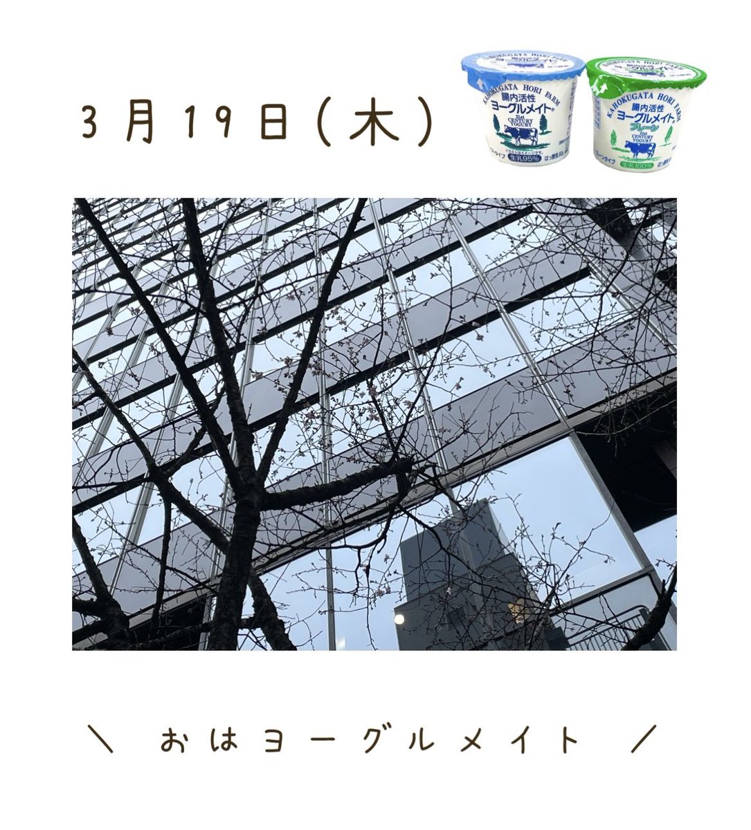 ㈱ニューミクロス 公式【腸内活性ヨーグルメイト】 tweet media