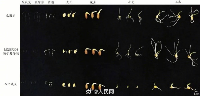 China Science tweet media