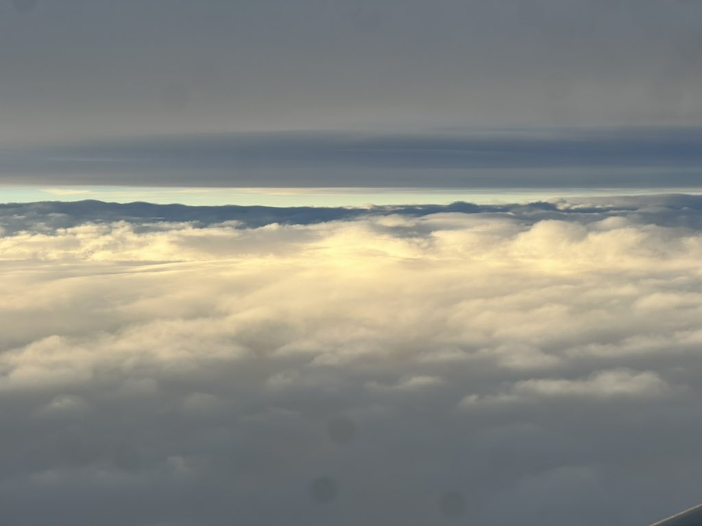 Lightning 🏳️‍⚧️ tweet media