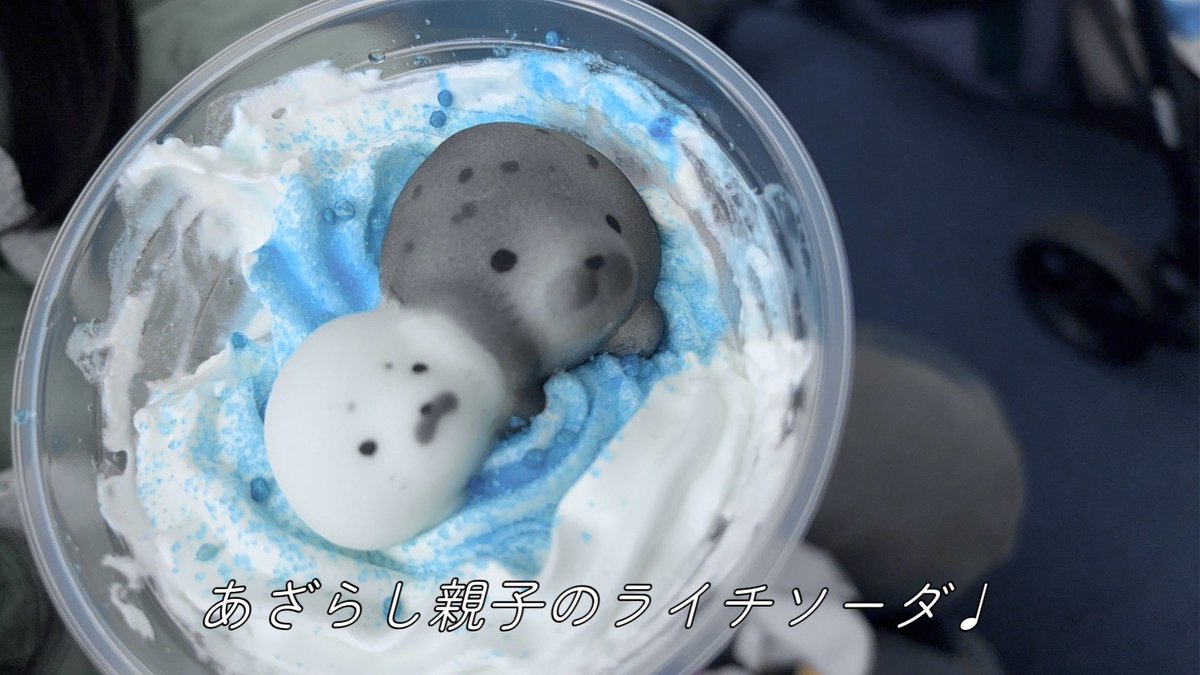 いぬ･ᴥ･ tweet media