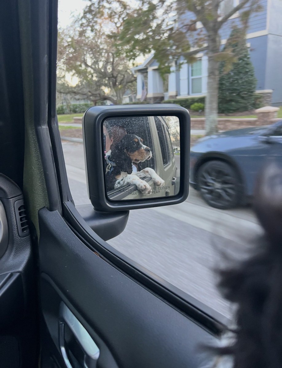 Society of Golf Historians tweet media