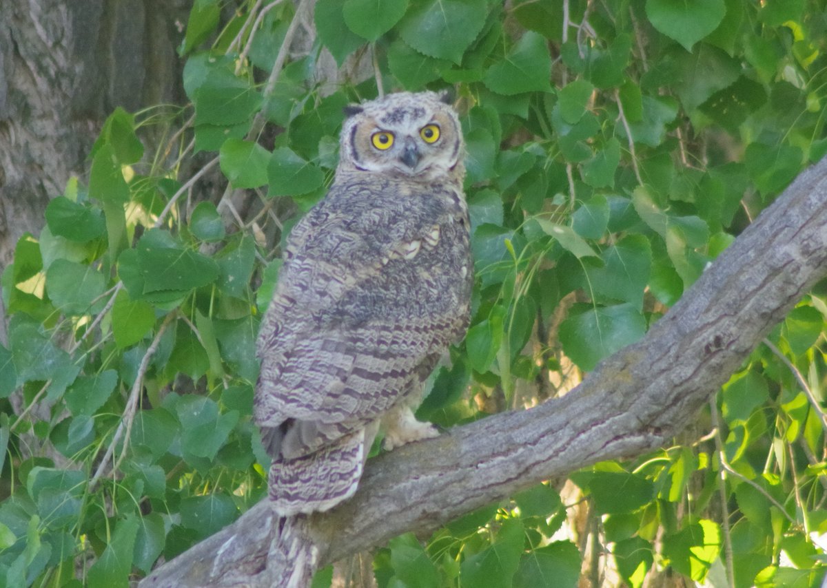 Kevin Rushton tweet media