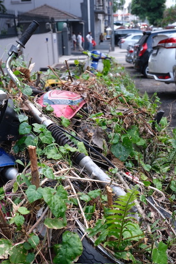 Mané Gallo tweet media