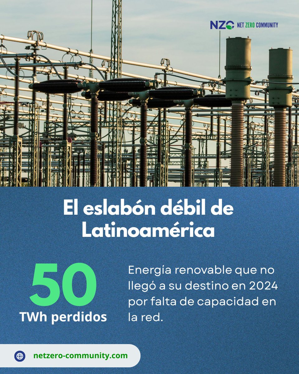 Net.Zero tweet media
