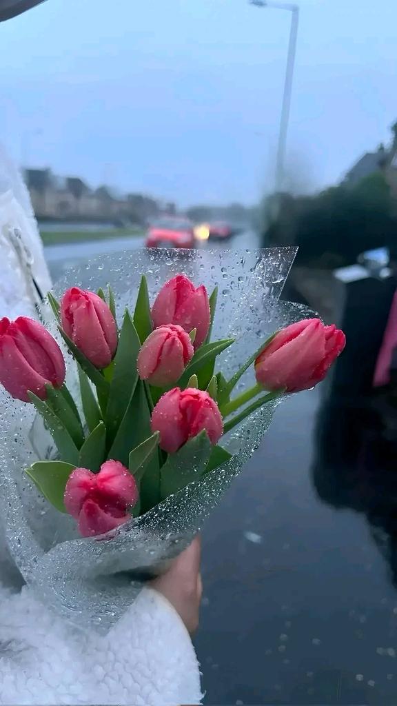 كلام من ذهب ♡ 🌹 tweet media