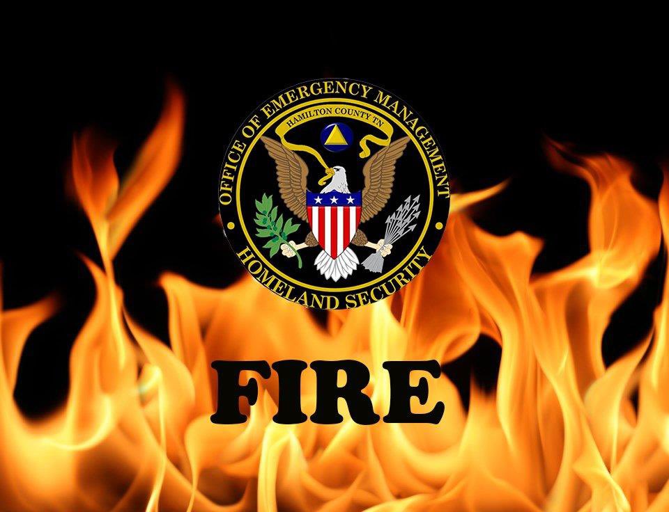 HamCoTNES tweet media