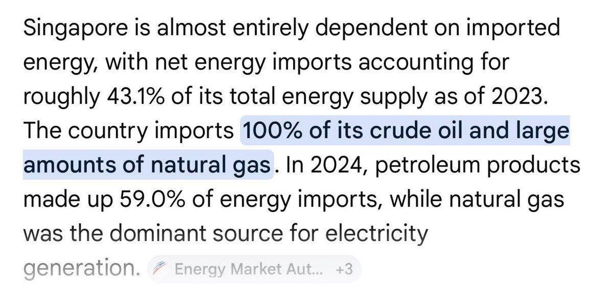 BowTiedMara tweet media