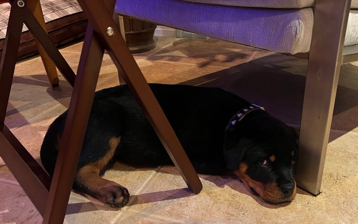 Matt's Collection tweet media