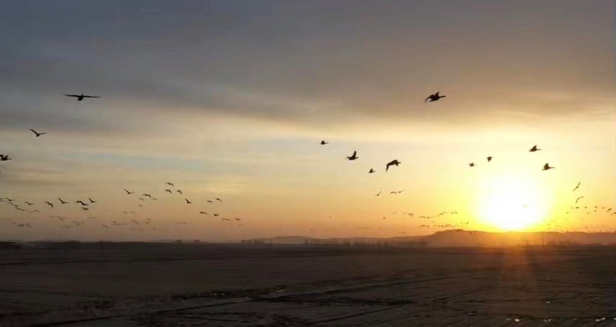 𝐑𝐨𝐲𝐚𝐥 𝐌𝐨𝐨𝐥 𝐑𝐚𝐣 🦅 tweet media